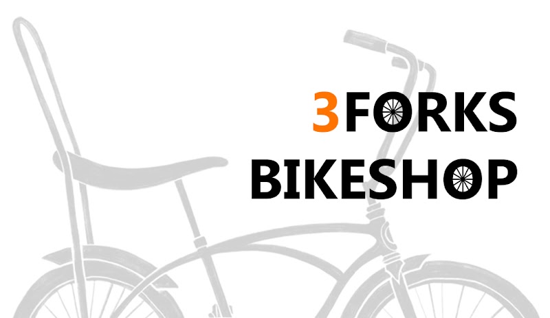 3Forks Bike Shop - eBike shop in Pullman, WA
