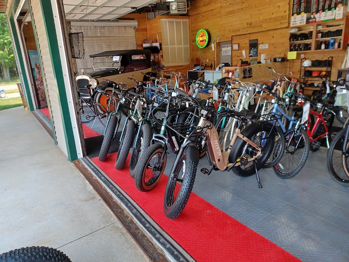 4 Seasons Bike and Sport, LLC - eBike shop in Houghton Lake, MI