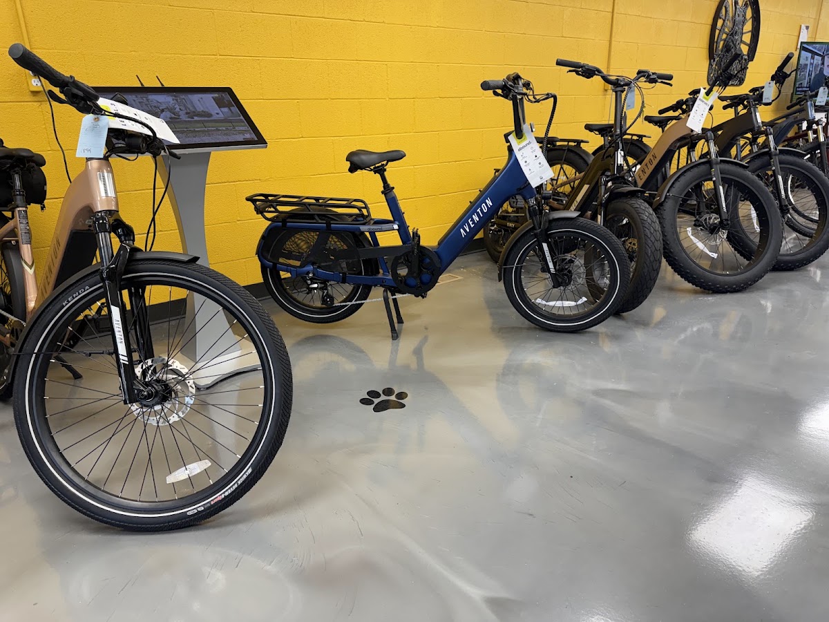 Alley Cat Outfitters - eBike shop in Wabash, IN