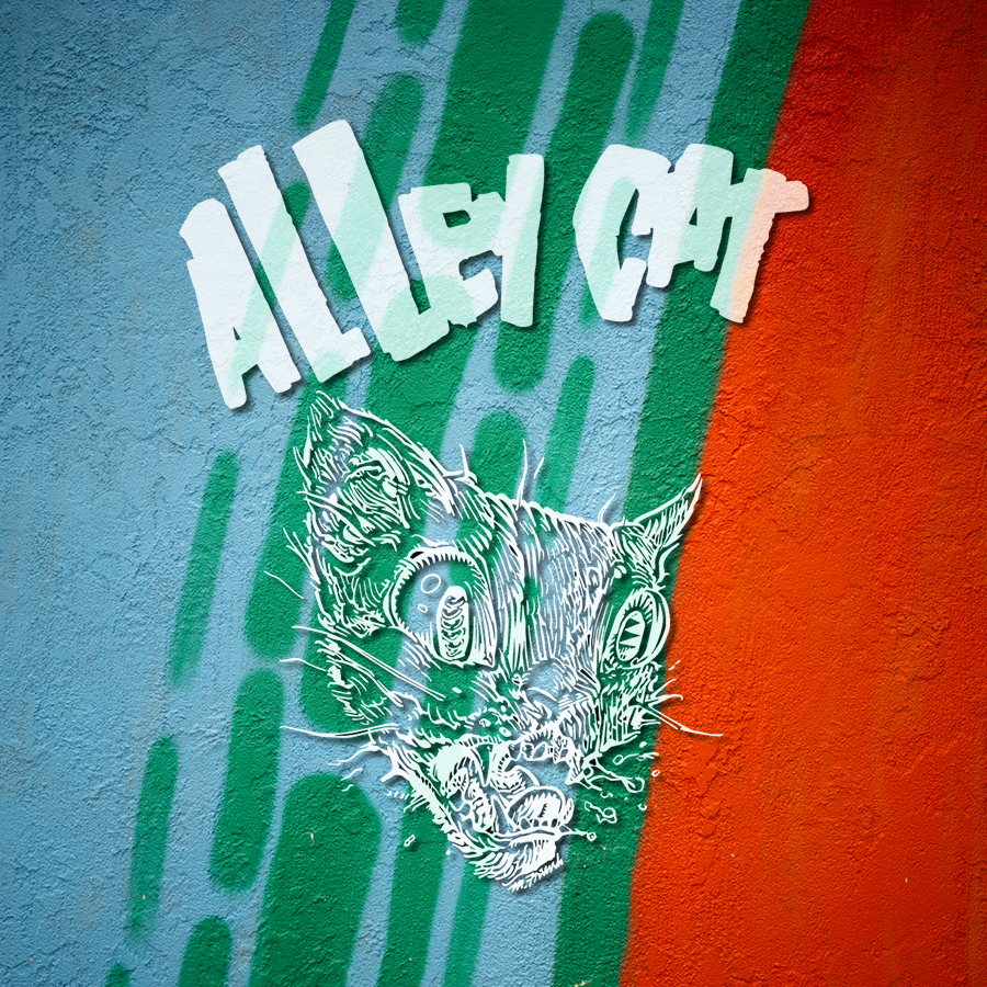 Alleycat Bike Shop - eBike shop in Bellingham, WA