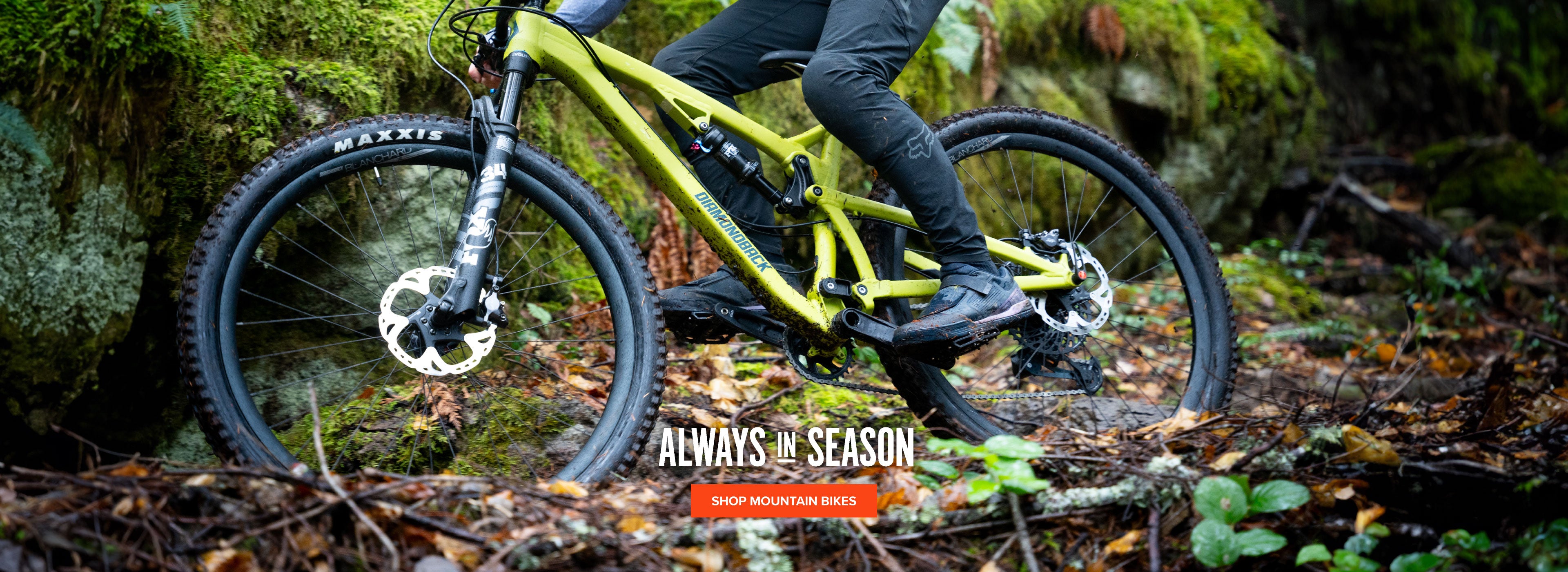 Alta Cycling Group - eBike shop in Renton, WA