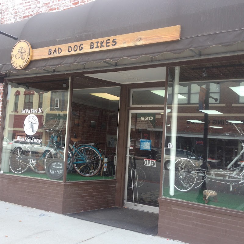 Bad Dog Bikes LLC - eBike shop in Fremont, NE