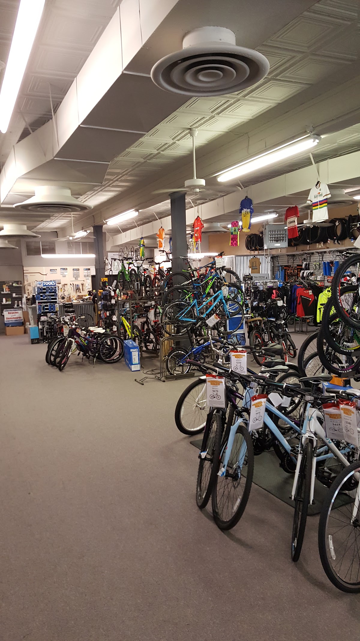 Berridge Bikes - eBike shop in Texarkana, TX