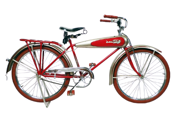 Bicycle Bones - eBike shop in Sodus Center, NY