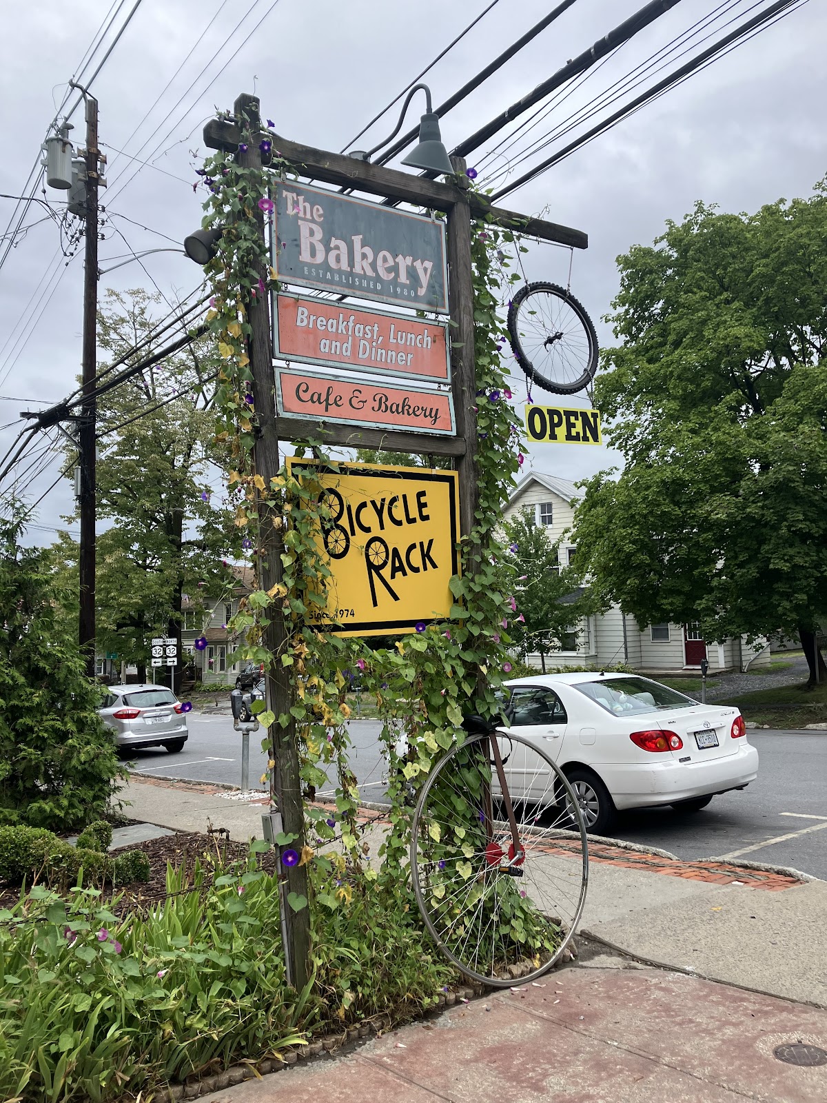 Bicycle Rack - eBike shop in New Paltz, NY