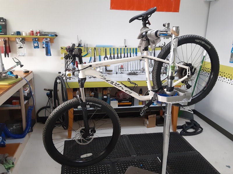 Bicycle Revival - eBike shop in Albuquerque, NM