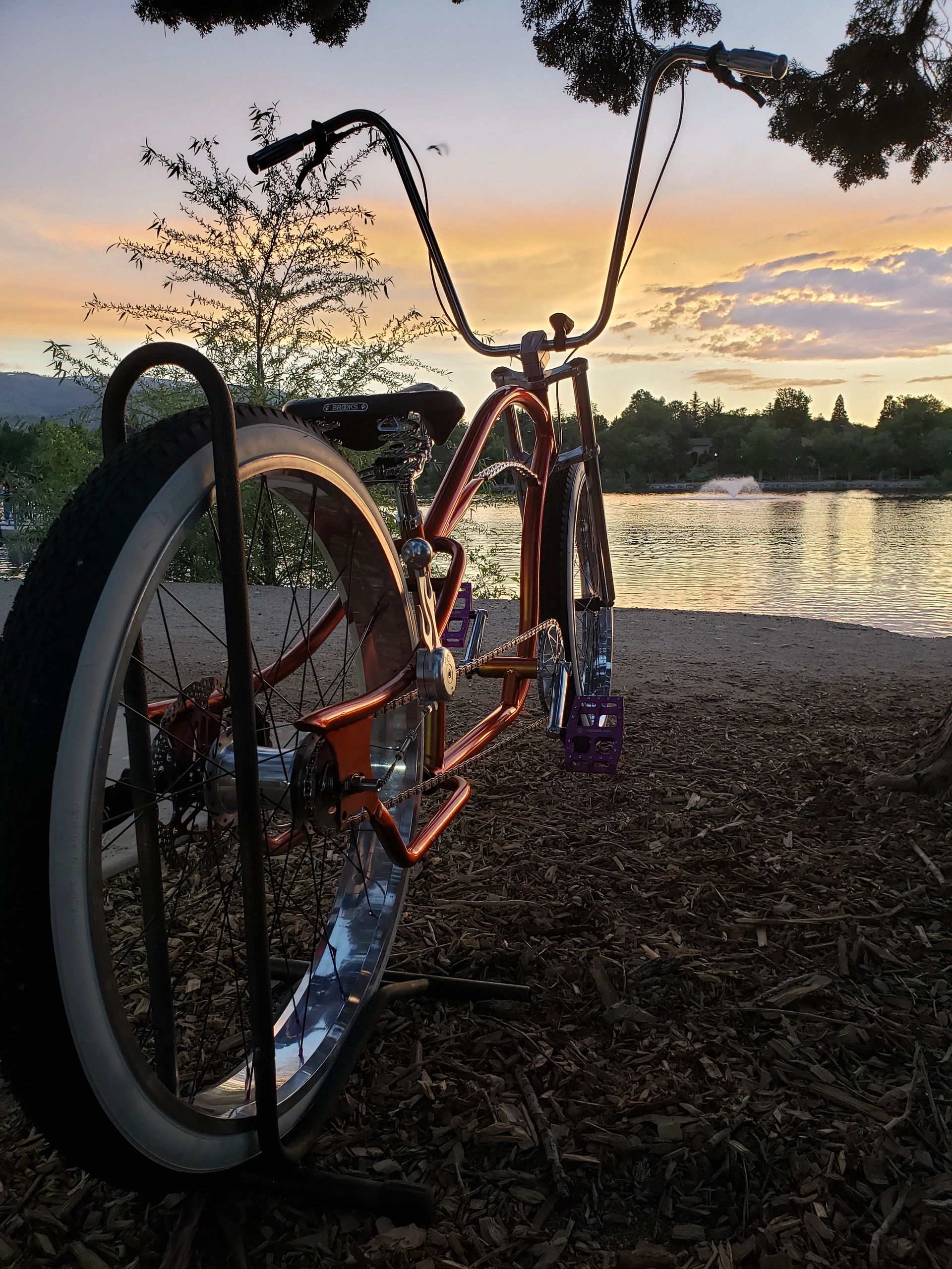 Bicycle Service Center - eBike shop in Sparks, NV