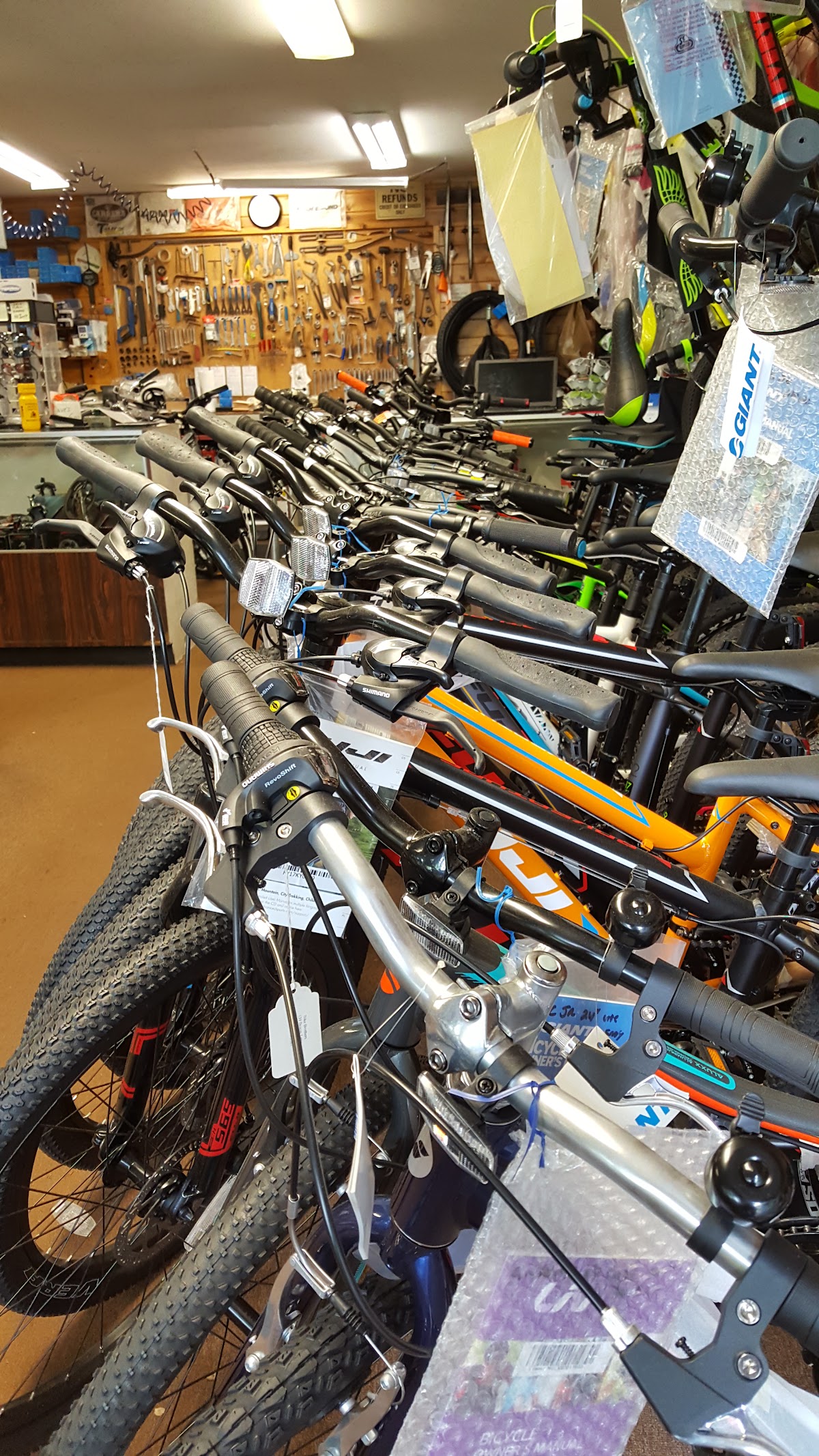 Bike Brothers - eBike shop in Kingston, NY