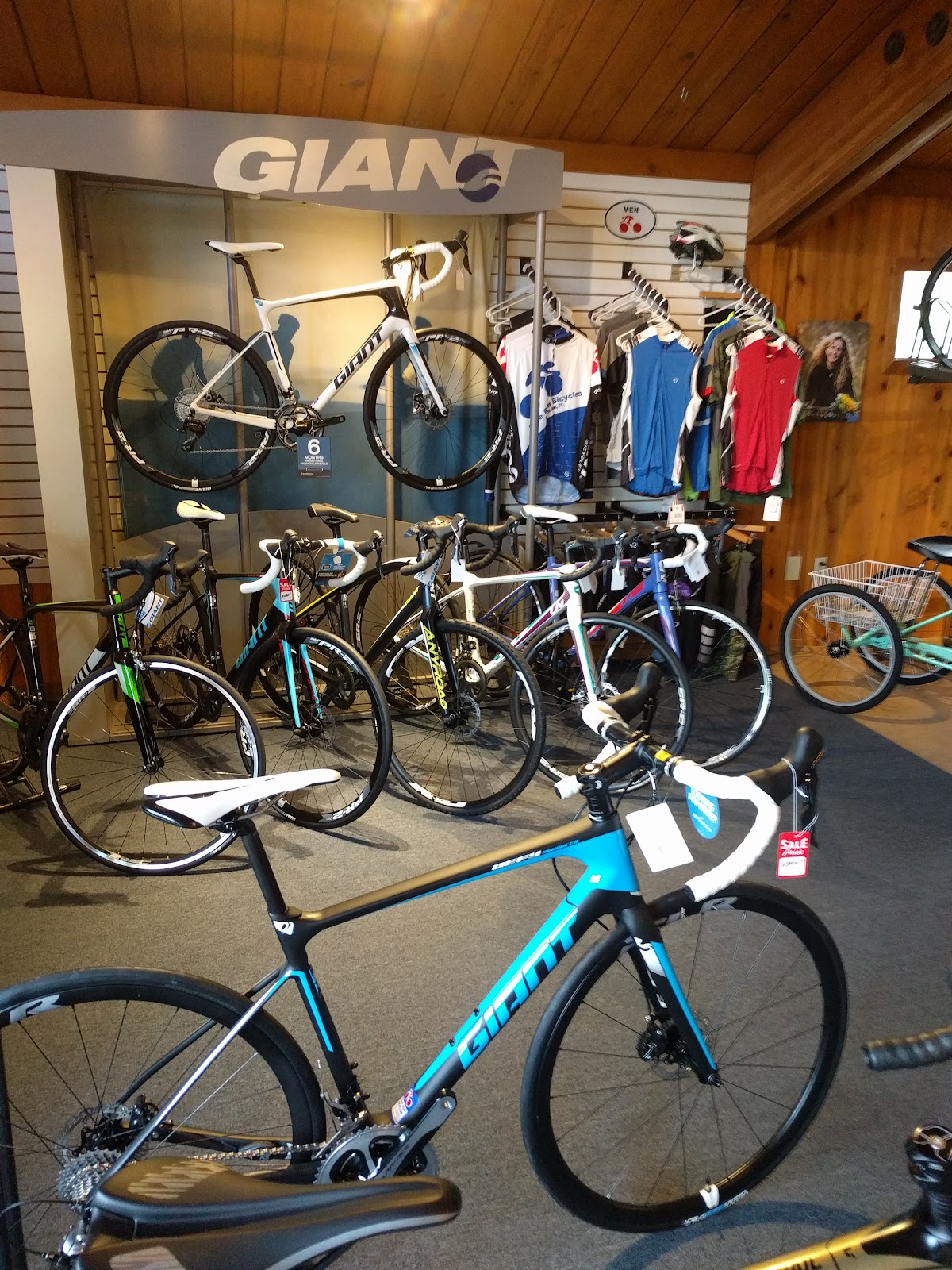 Blue Run Bicycles & Paddle Co. - eBike shop in Dunnellon, FL