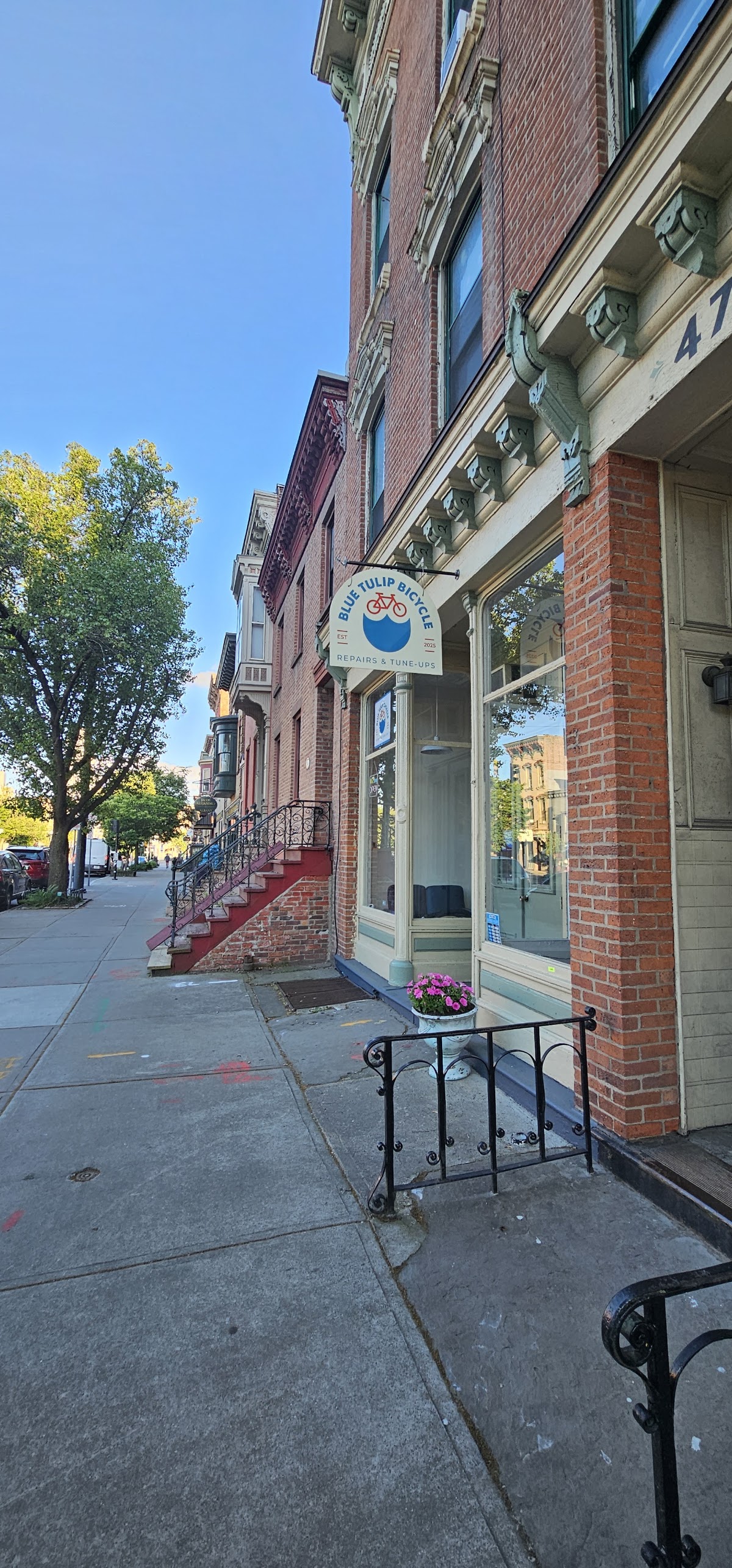 Blue Tulip Bicycle - eBike shop in Albany, NY