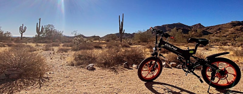 Boneshaker Electric Bikes - eBike shop in Venice, CA