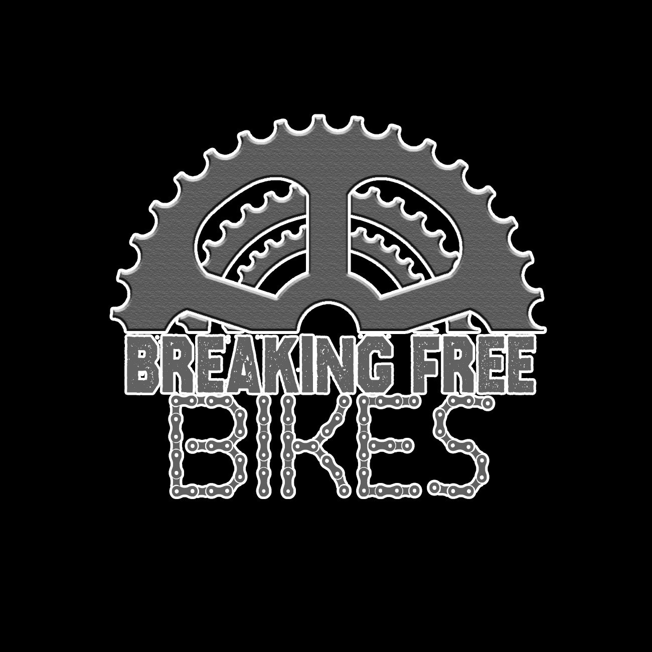 Breaking Free Bikes - eBike shop in Rochester, NY