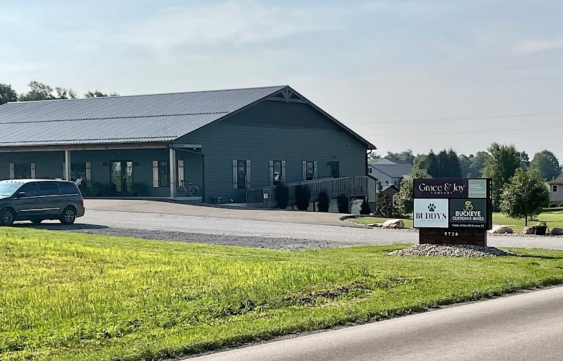 Buckeye Custom E Bikes LLC - eBike shop in Fredericksburg, OH