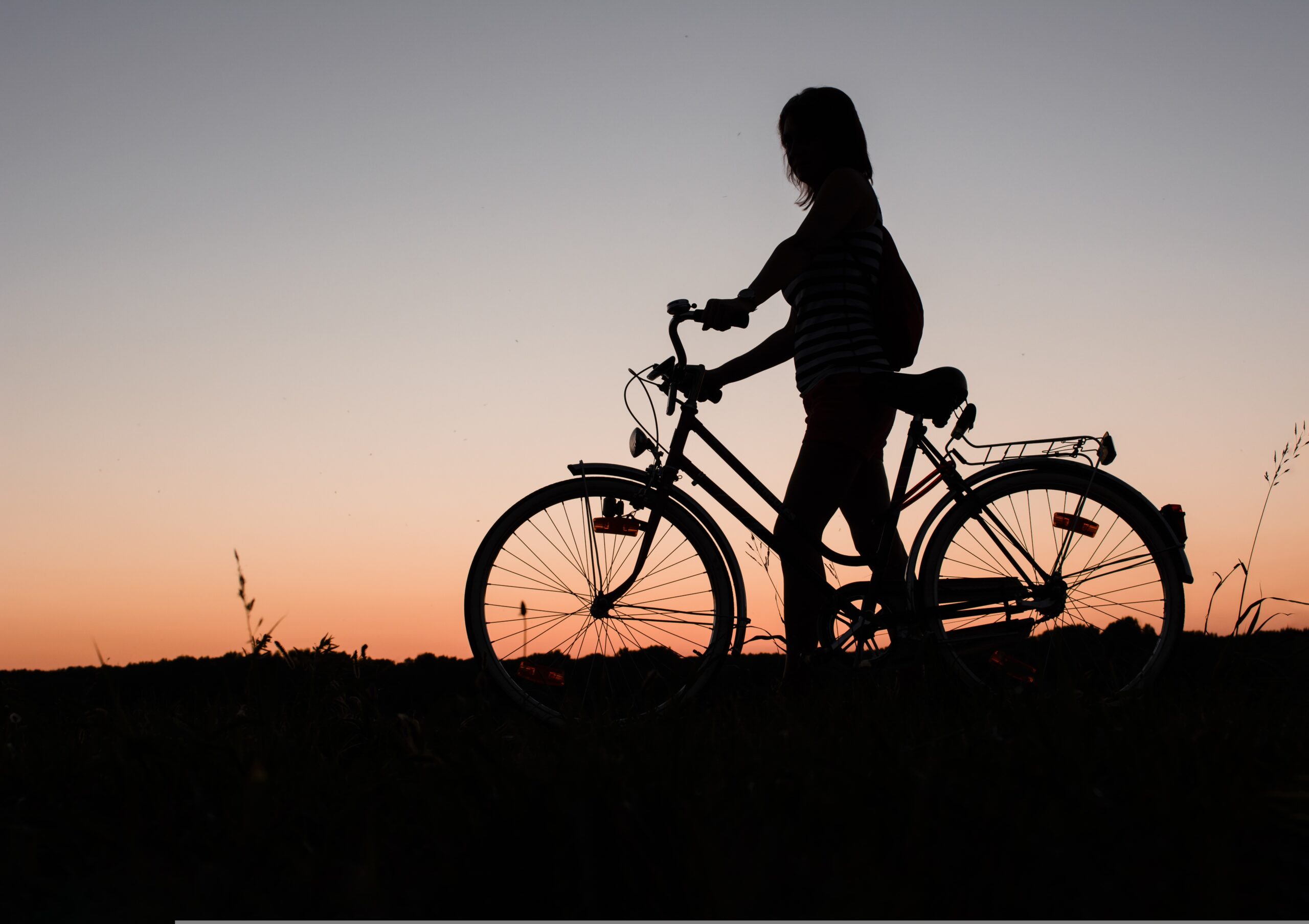 C and C Cyclery - eBike shop in Prescott Valley, AZ