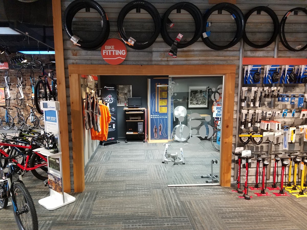 Cadence 120 Bicycle Works Inc - eBike shop in Mobile, AL