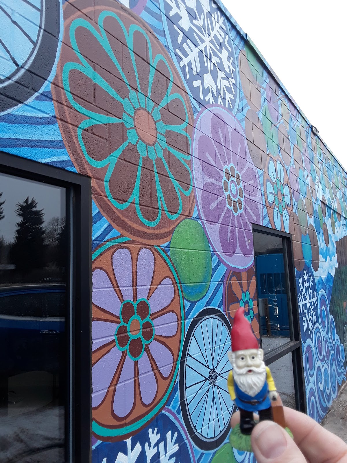 Castle Rock Bike & Ski - eBike shop in Castle Rock, CO