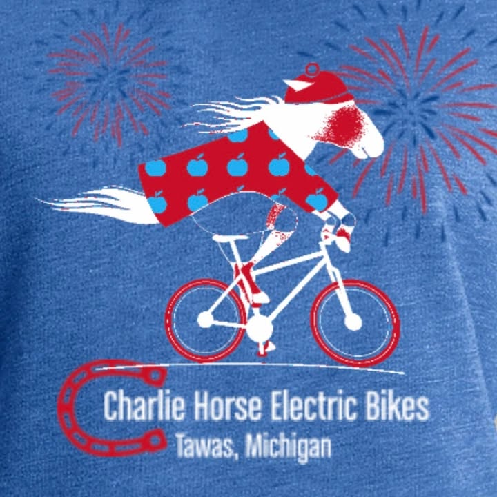 CHARLIE HORSE ELECTRIC BIKES - eBike shop in Tawas City, MI