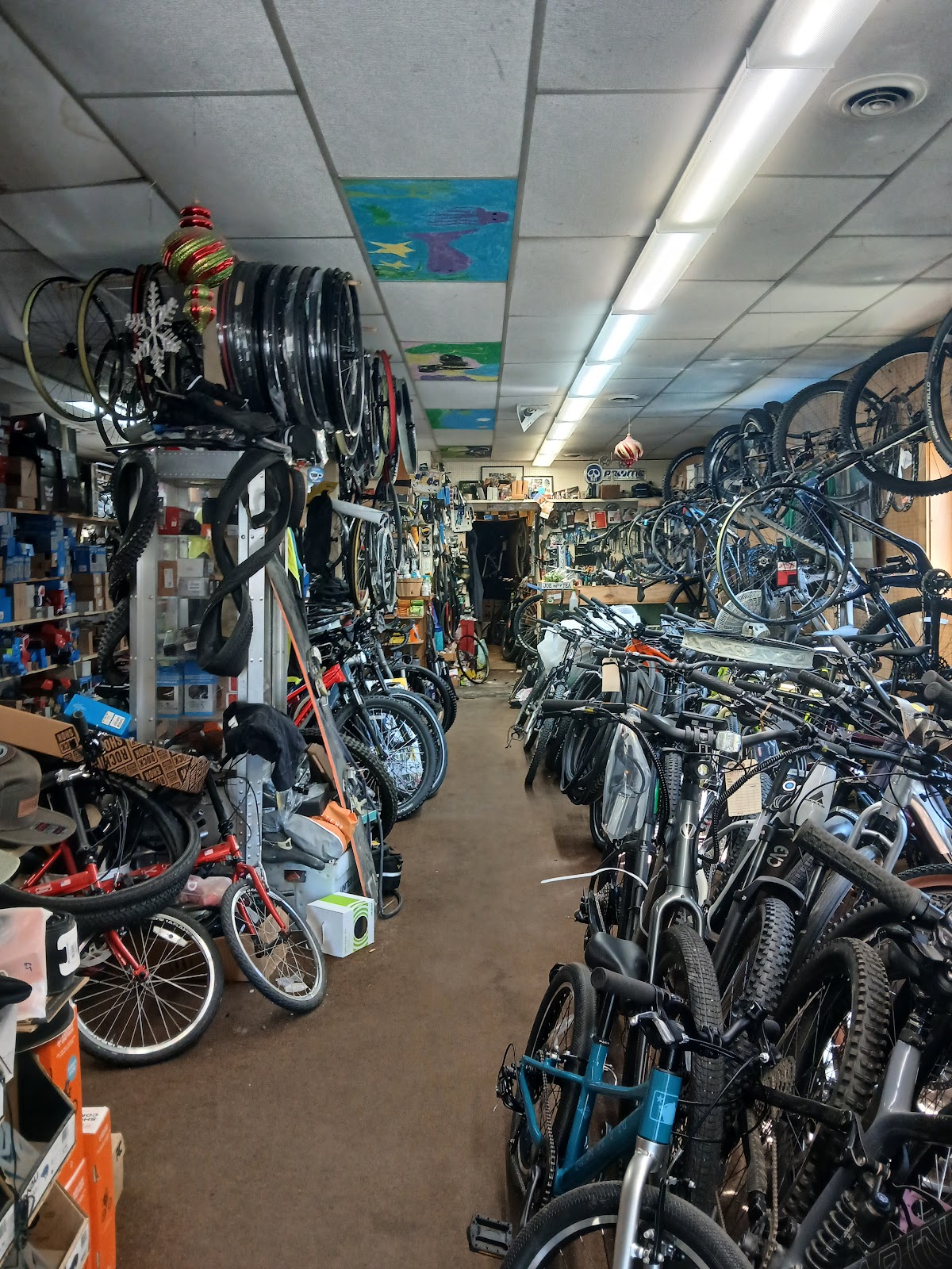 Chucks Bikes - eBike shop in Morristown, VT