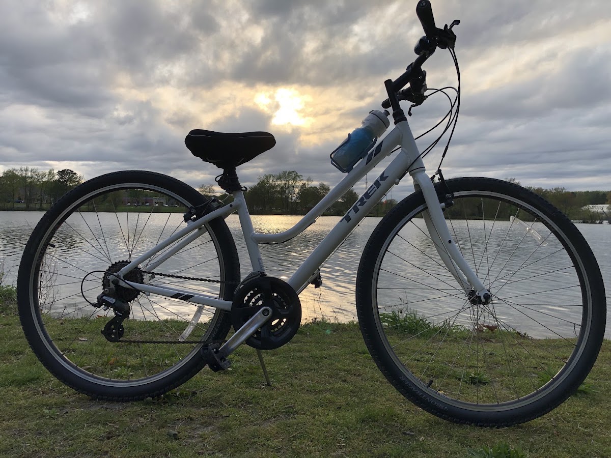 Continental Cycles Inc. - eBike shop in Berlin, MD