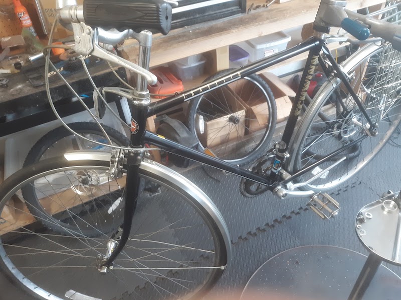 Davis Bikes and Skateboards - eBike shop in Davis, CA