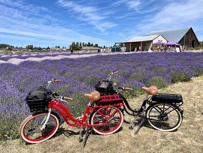 Discover E-Bike - eBike shop in Port Angeles, WA