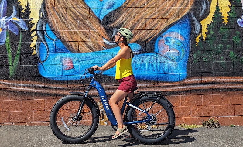 E-Bikes of Missoula, LLC - eBike shop in Missoula, MT