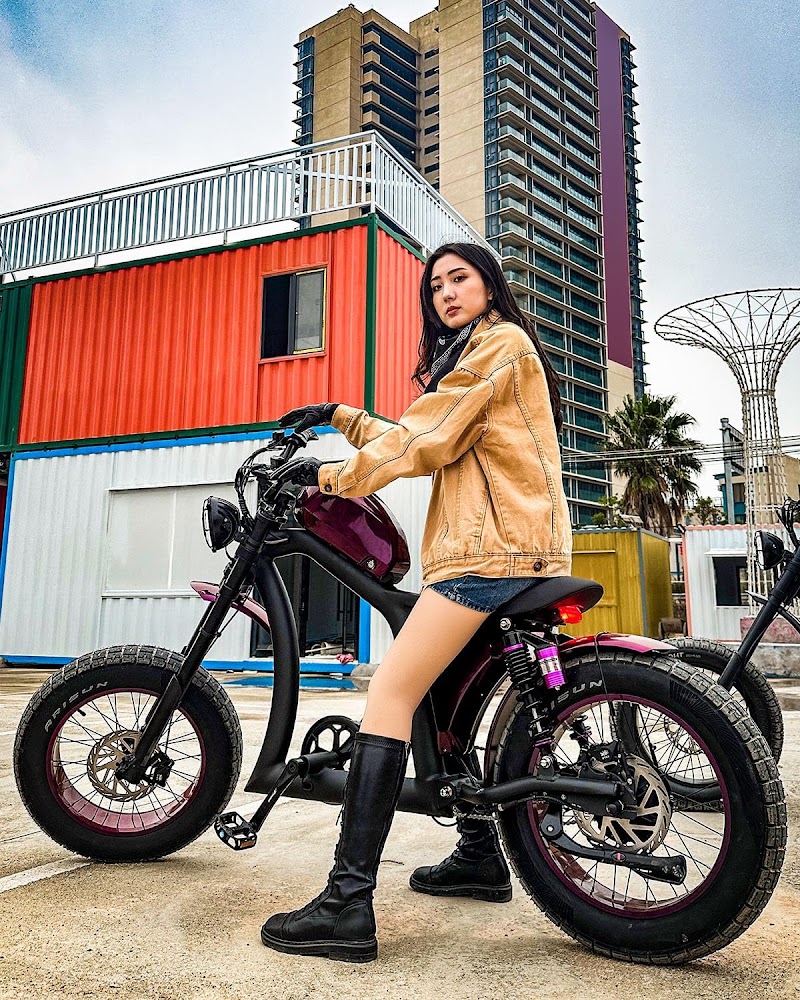 Ebike X - eBike shop in Carol Stream, IL