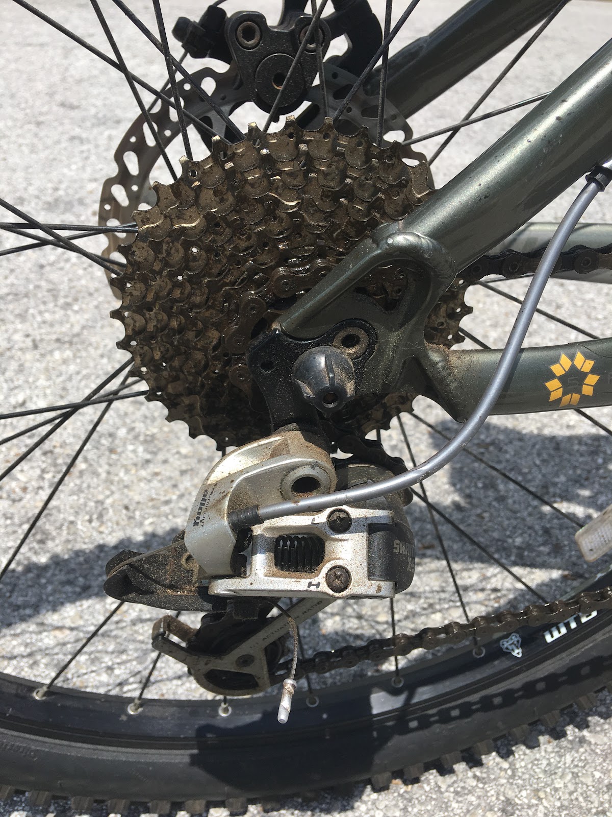 Eileen's Place - eBike shop in Hudson, FL