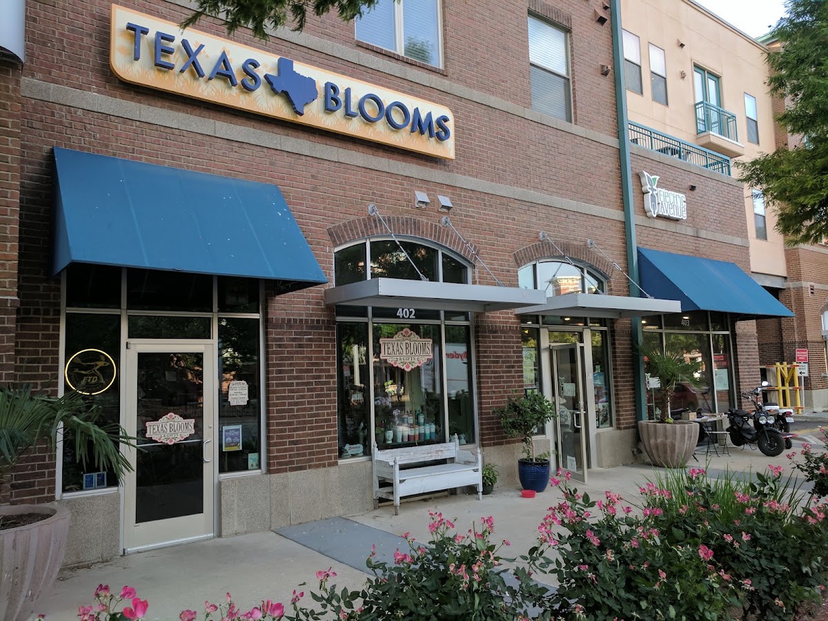 Electric Avenue Bikes - Austin - eBike shop in Austin, TX