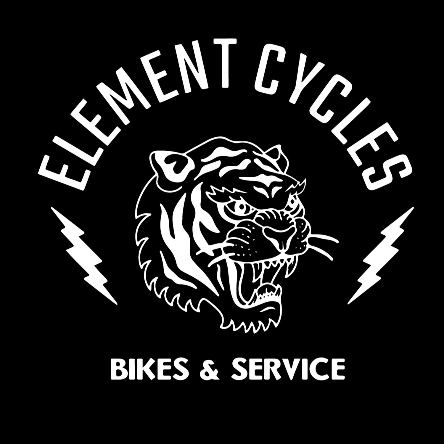 Element Cycles - eBike shop in Redmond, WA