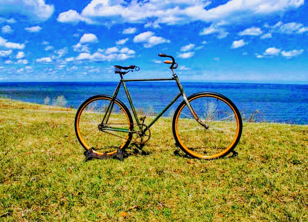 Ellis Cycles - eBike shop in Franklin, WI