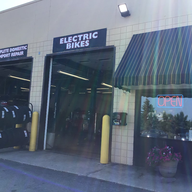 Finger Lakes Electric Bikes - eBike shop in Geneva, NY