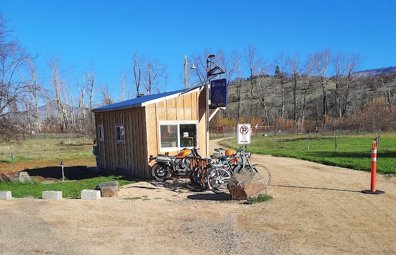 Fire Bird Bicycle Shop - eBike shop in Phoenix, OR