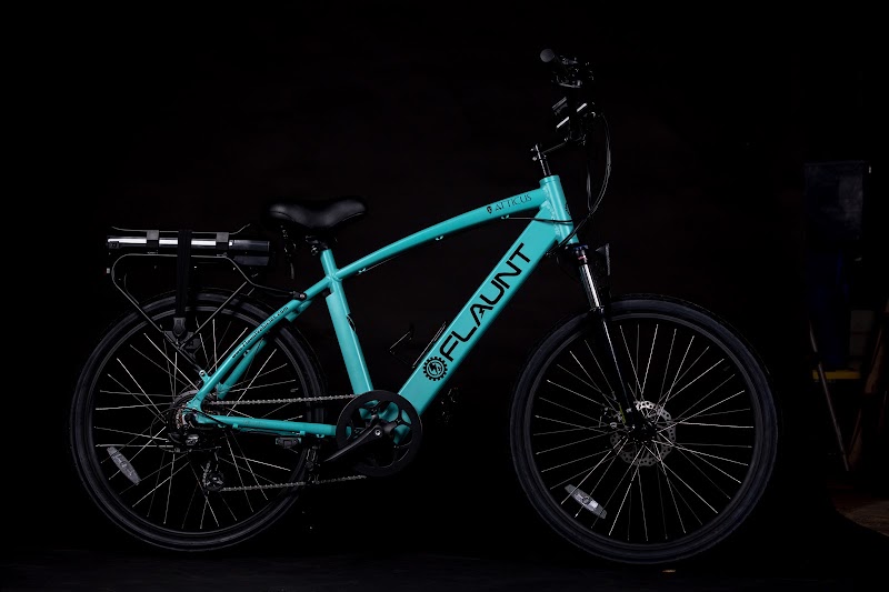 FLAUNT Electric Vehicles - eBike shop in New Smyrna Beach, FL