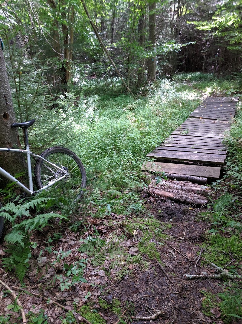 Four Mountain Cycles LLC - eBike shop in Londonderry, VT