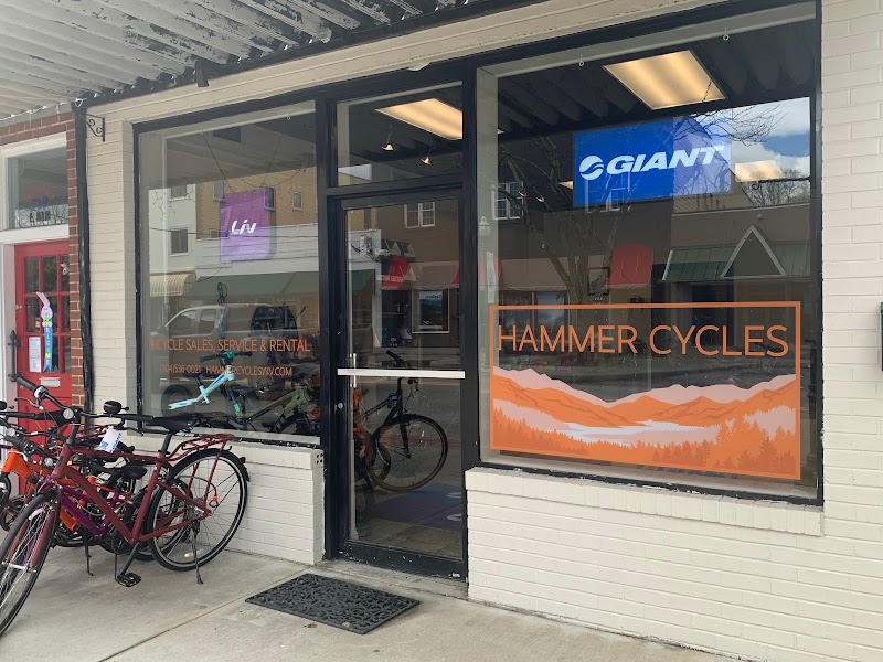 Hammer Cycles, LLC. - eBike shop in Lewisburg, WV