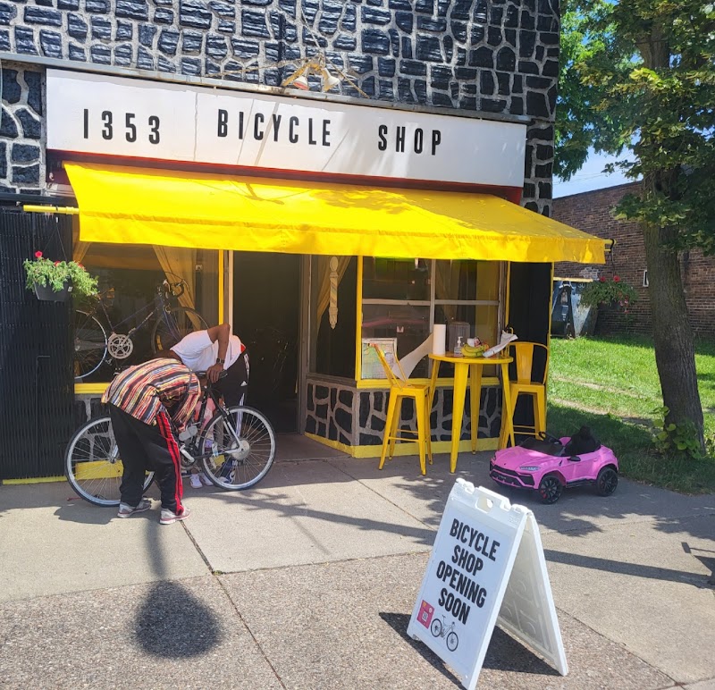 Holistic Cycles - eBike shop in Buffalo, NY