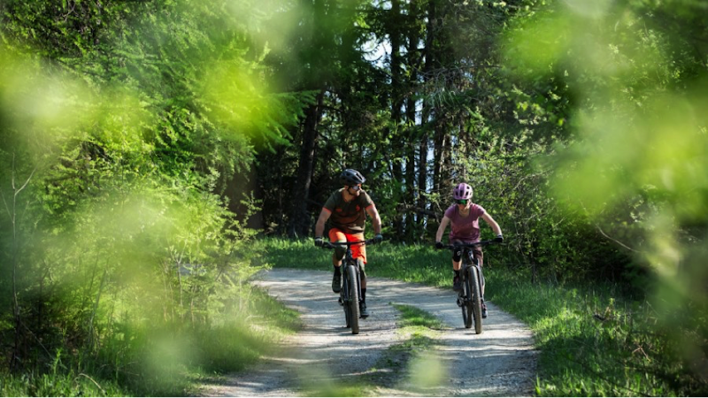 Hudson Valley Ebike Rentals & Sales - eBike shop in Red Hook, NY