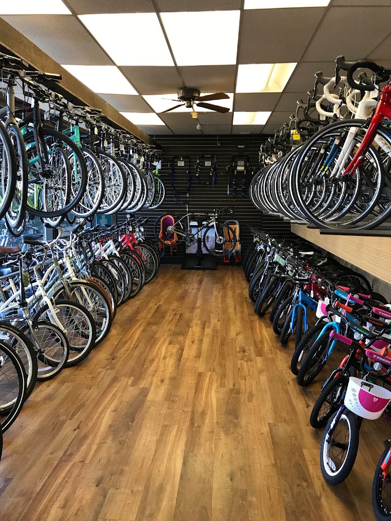 Jay's Cycles - eBike shop in Princeton, NJ