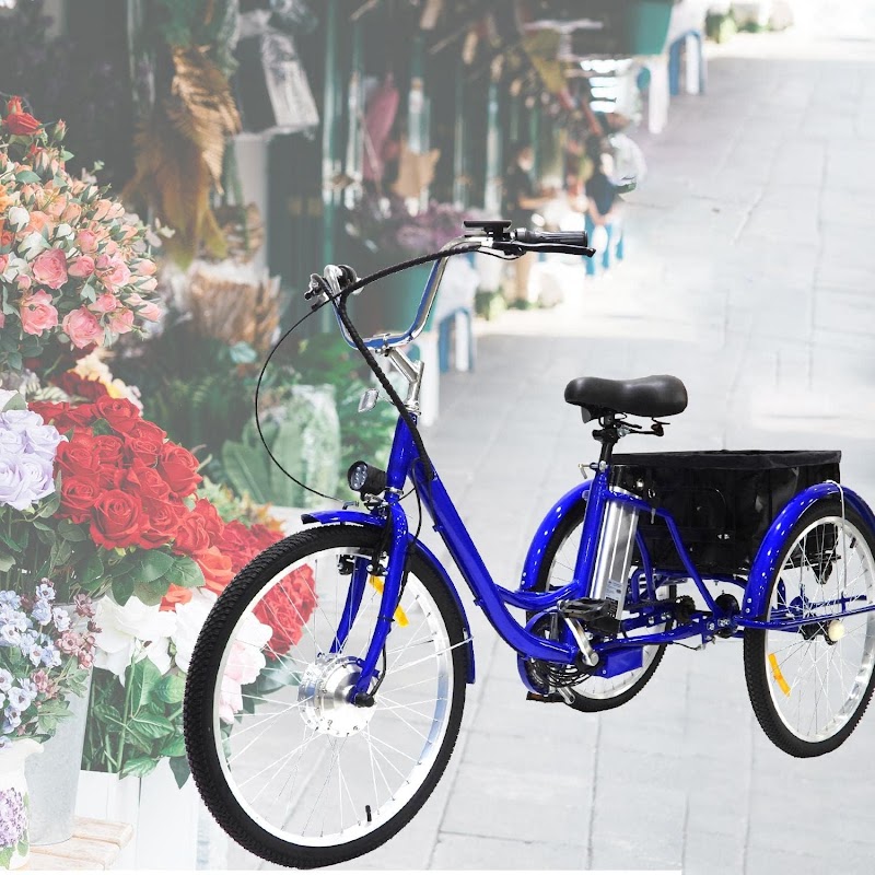 Legacy Trail E-Bike Rentals - eBike shop in Sarasota, FL