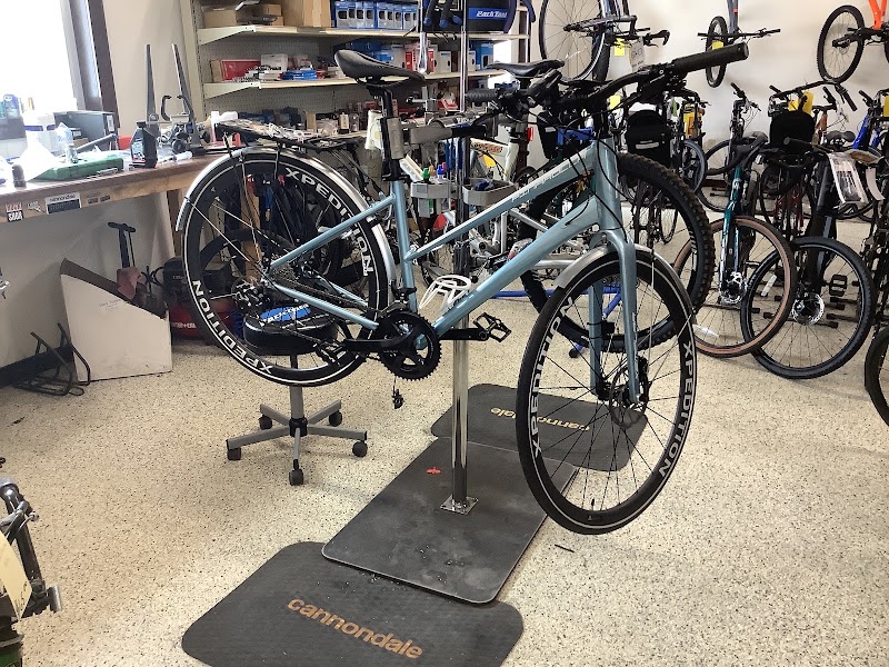 Martins Bikes LLC - eBike shop in Stanley, WI