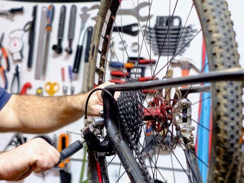 MG Bike Fix, LLC - eBike shop in Naperville, IL