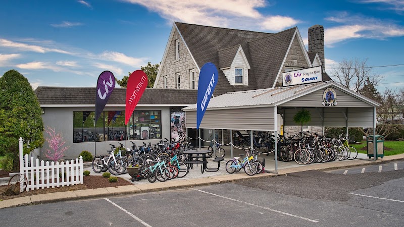 Mole Hill Bikes - eBike shop in Dayton, VA