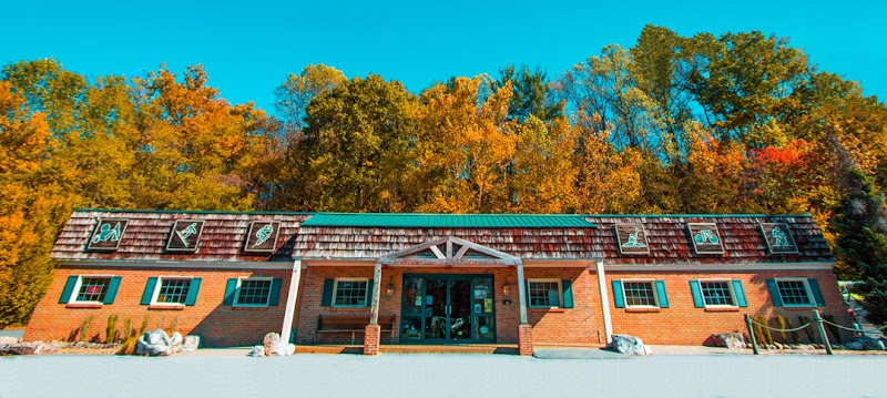 Mountain Sports Ltd - eBike shop in Bristol, VA