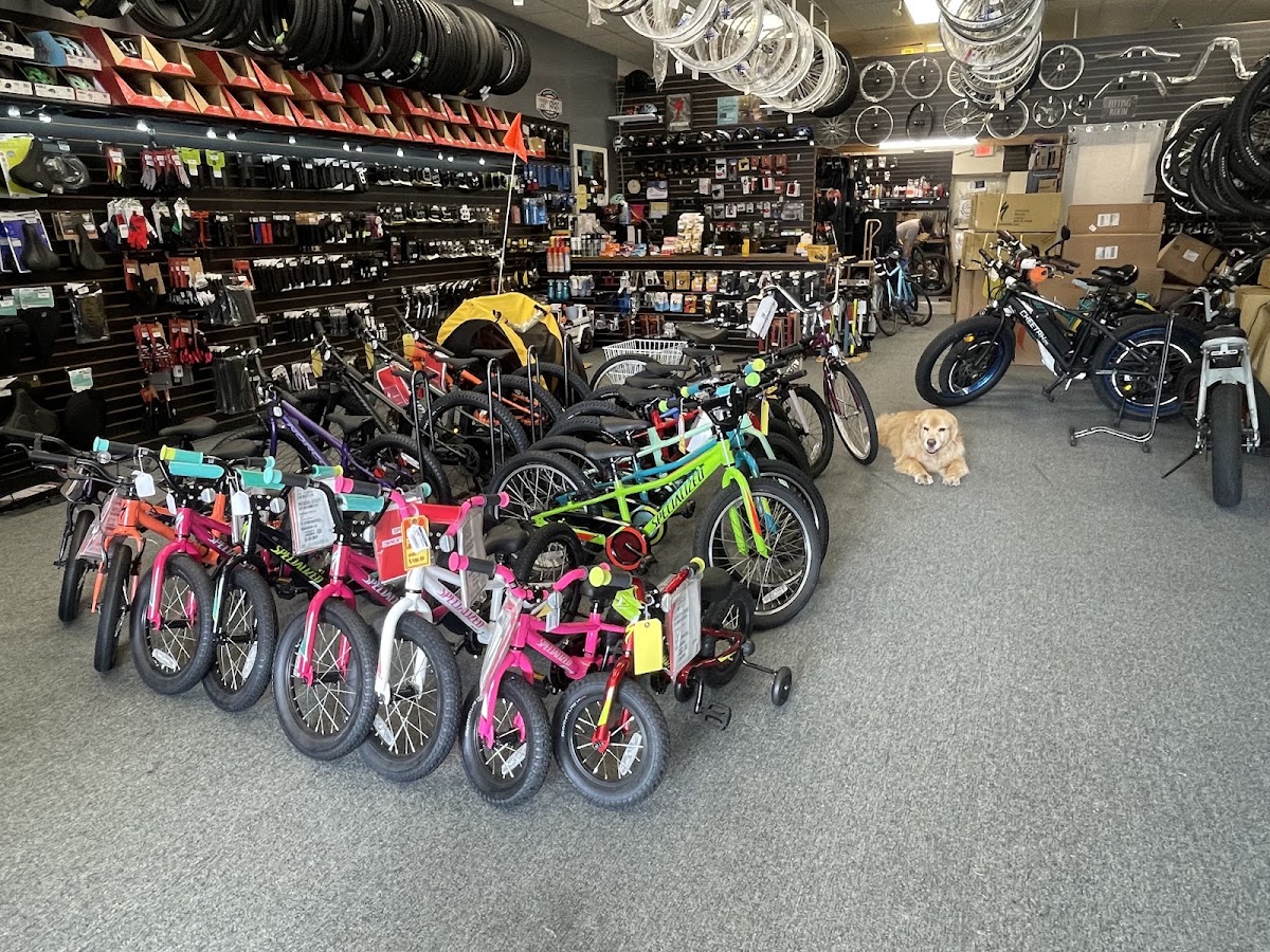 Mr C's Bicycles - eBike shop in Surfside Beach, SC