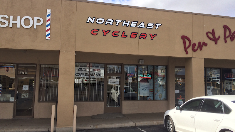 Northeast Cyclery LLC - eBike shop in Albuquerque, NM