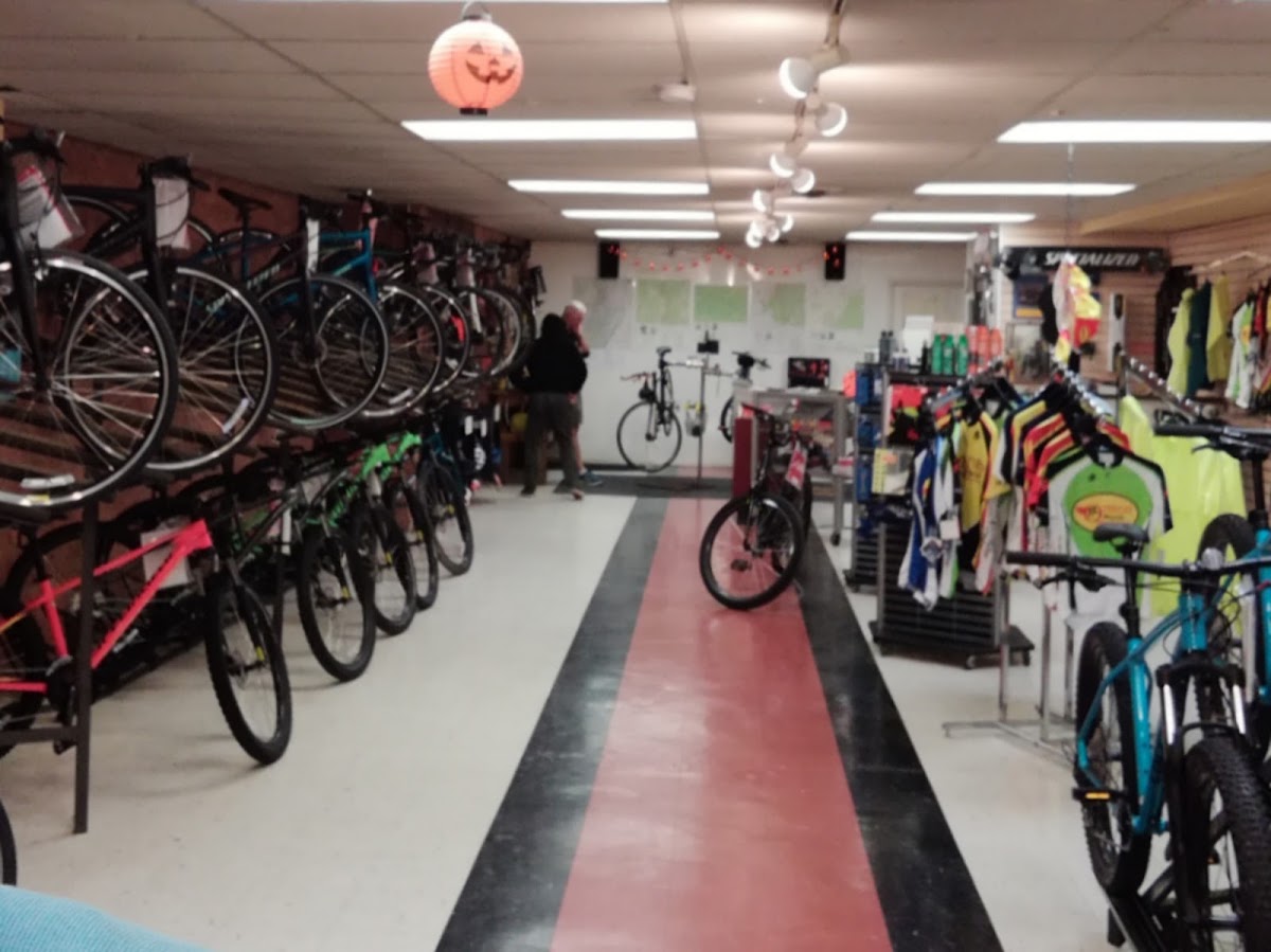 Otsego Bicycles - eBike shop in Oneonta, NY