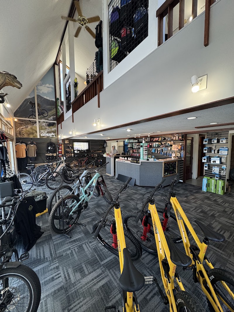 Outer Limits Cycle & Ski - eBike shop in Greenfield, MA