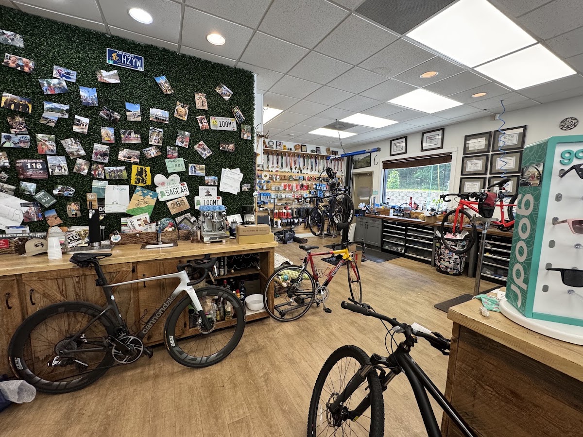 Pro Cycle Fairhope - eBike shop in Fairhope, AL