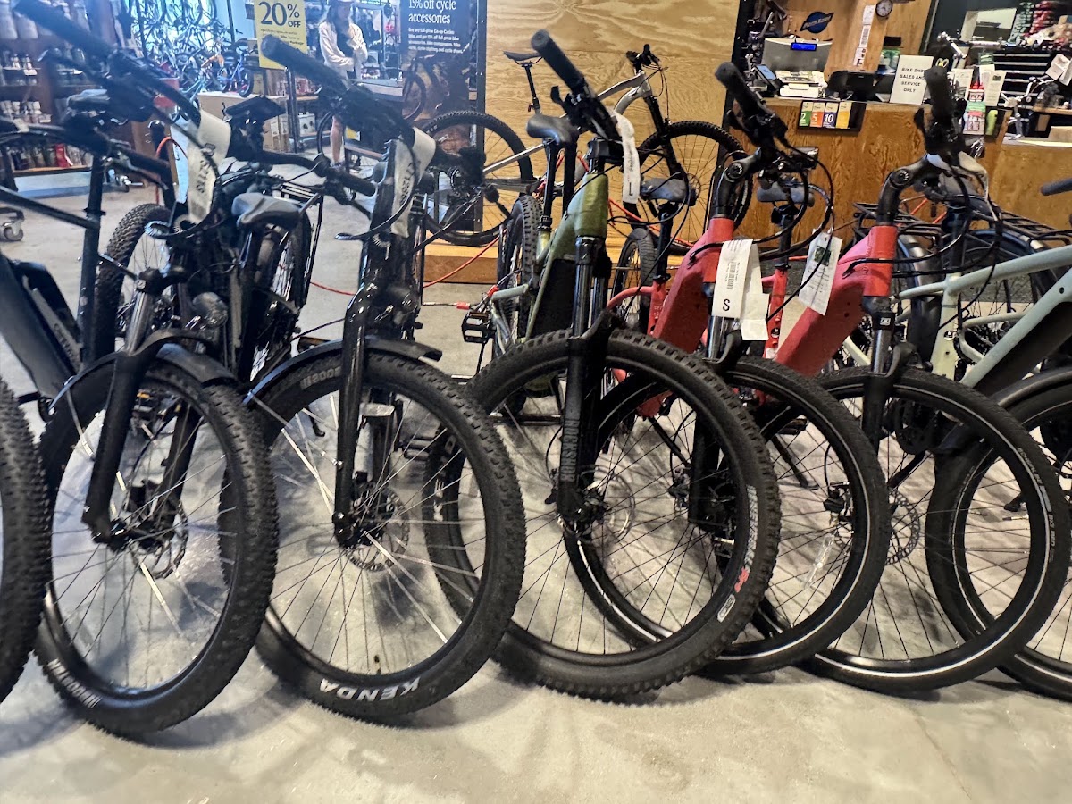 REI Bike Shop - eBike shop in Tampa, FL